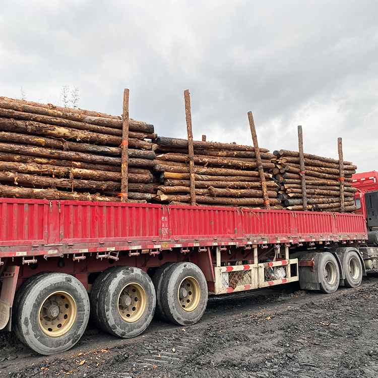 河道木樁報(bào)價(jià):河道(6米)松木木樁多少錢(qián)一米,原木樁多少錢(qián)？