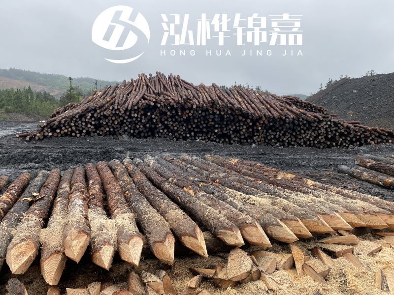 6米長(zhǎng)松木樁有哪些作用，多少錢(qián)一根？