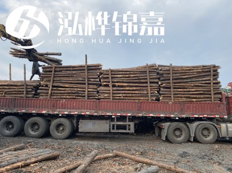 打樁木材為何首選松木？松木樁應(yīng)該怎么打樁施工