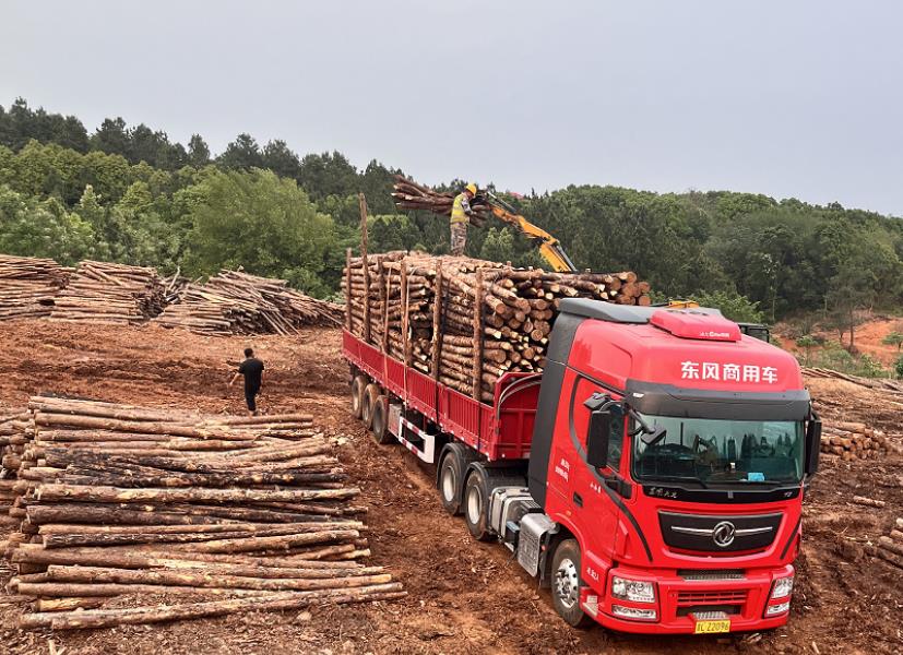 落葉松可以做防腐木嗎，如何制作落葉松防腐木