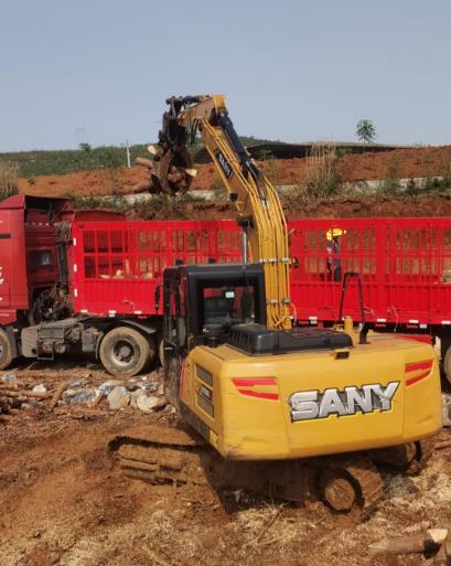 <a href=http://www.seduceyy.com/ target=_blank class=infotextkey>松木樁</a>原木