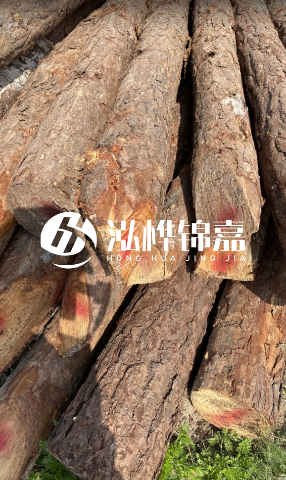 <strong>松木樁和杉木樁的用途區(qū)別？哪個(gè)更適合打樁用？</strong>