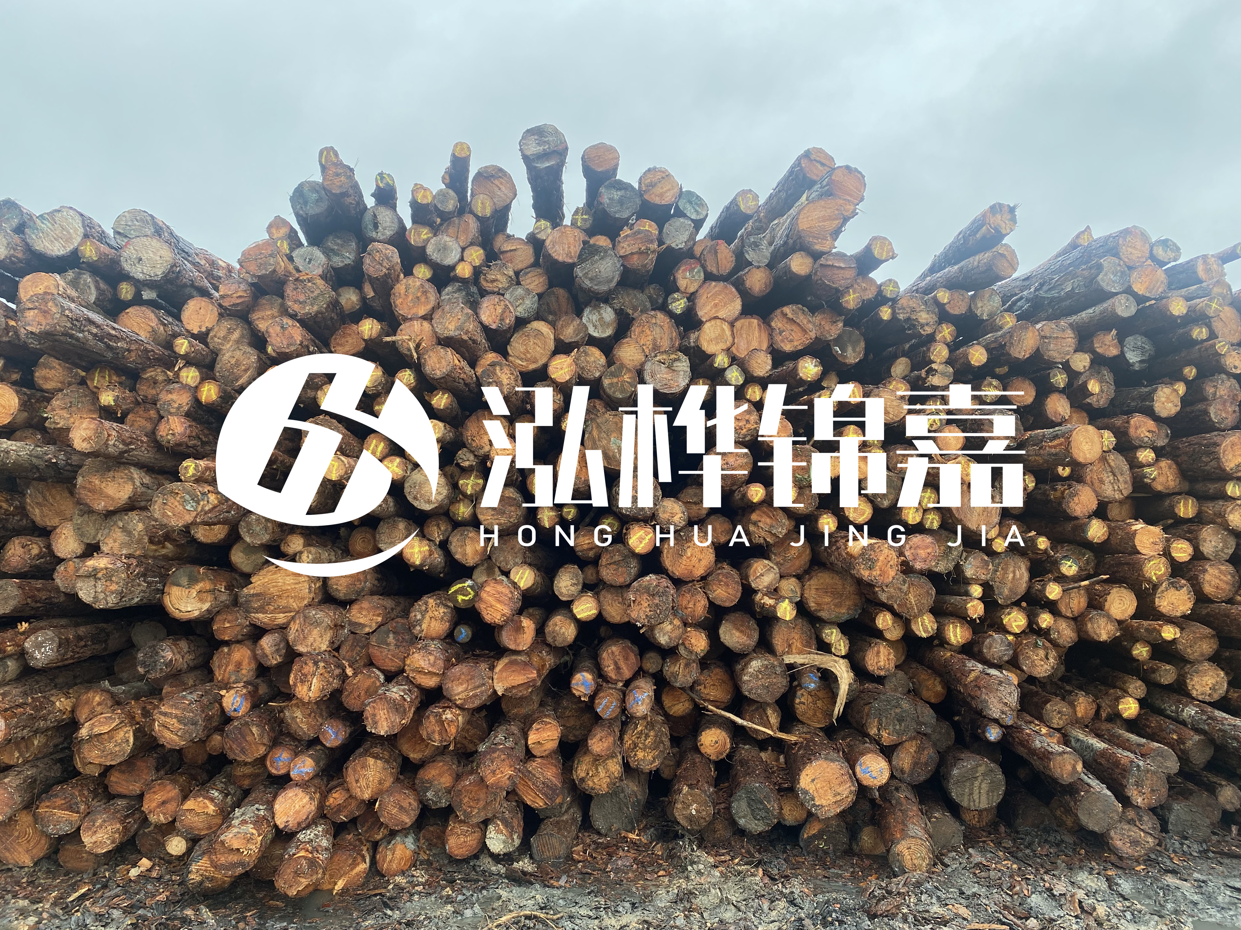 松木樁的直徑一般取多少？