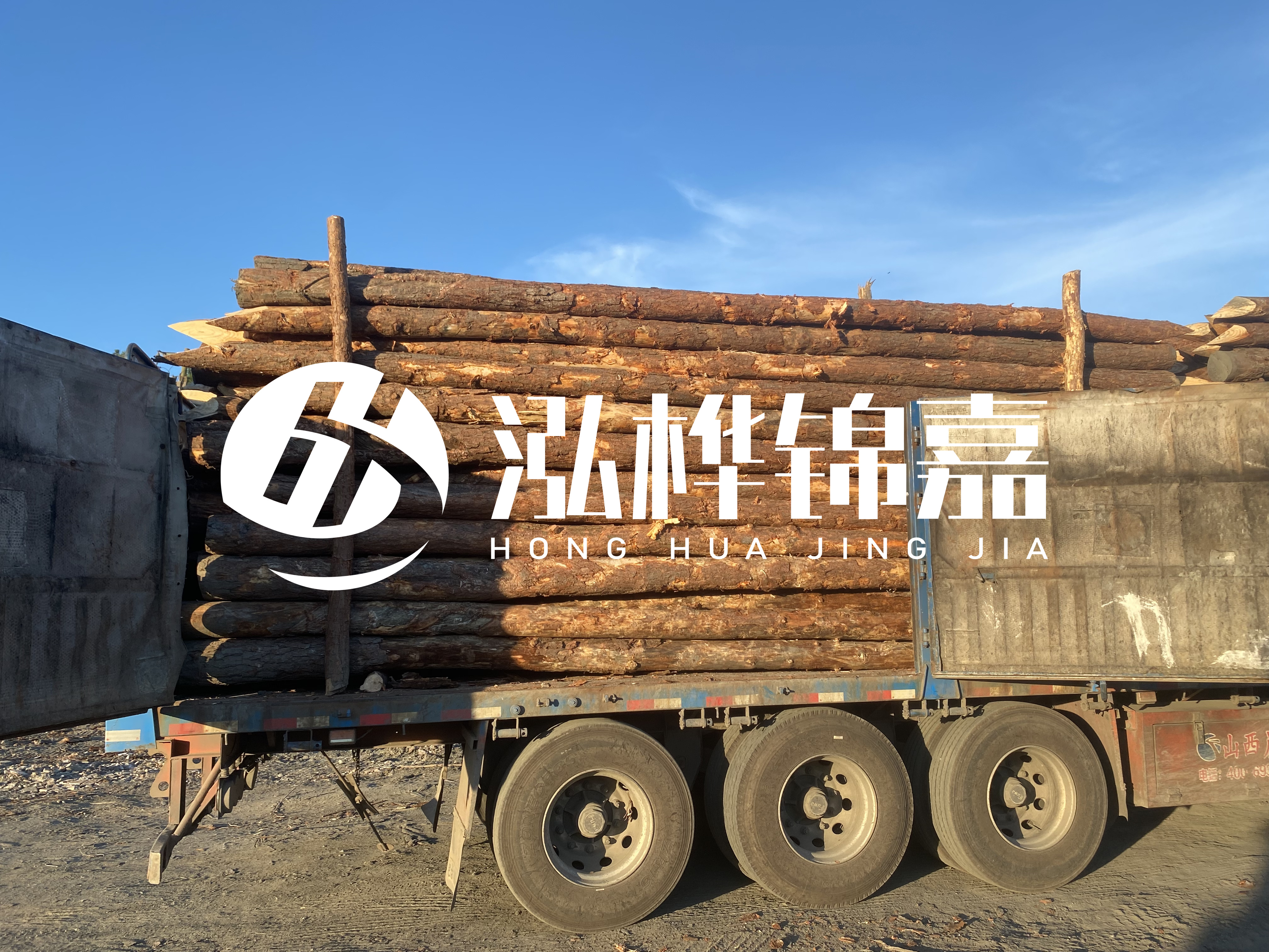 河道治理為什么要用松木樁？