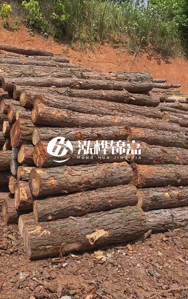 七臺河河道清淤專業(yè)施工-河道清淤的淤泥多久能干？