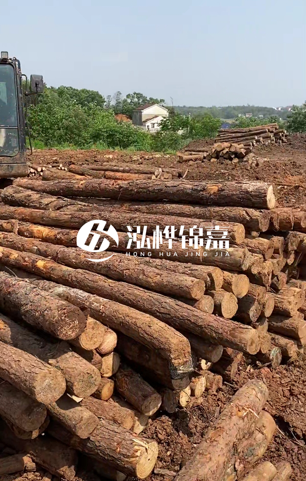 荊州挖機(jī)打木樁專業(yè)施工-河道打樁木被水浸泡后會(huì)不會(huì)變形嚴(yán)重？