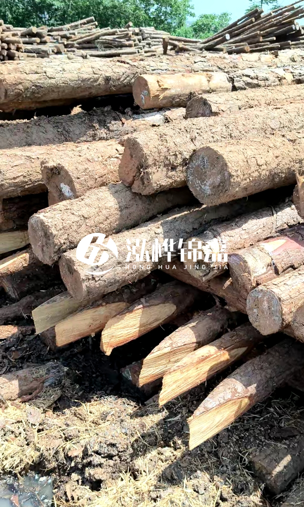 荊門挖機(jī)打木樁專業(yè)施工-河道打木樁前是否要清理河道底部雜物？