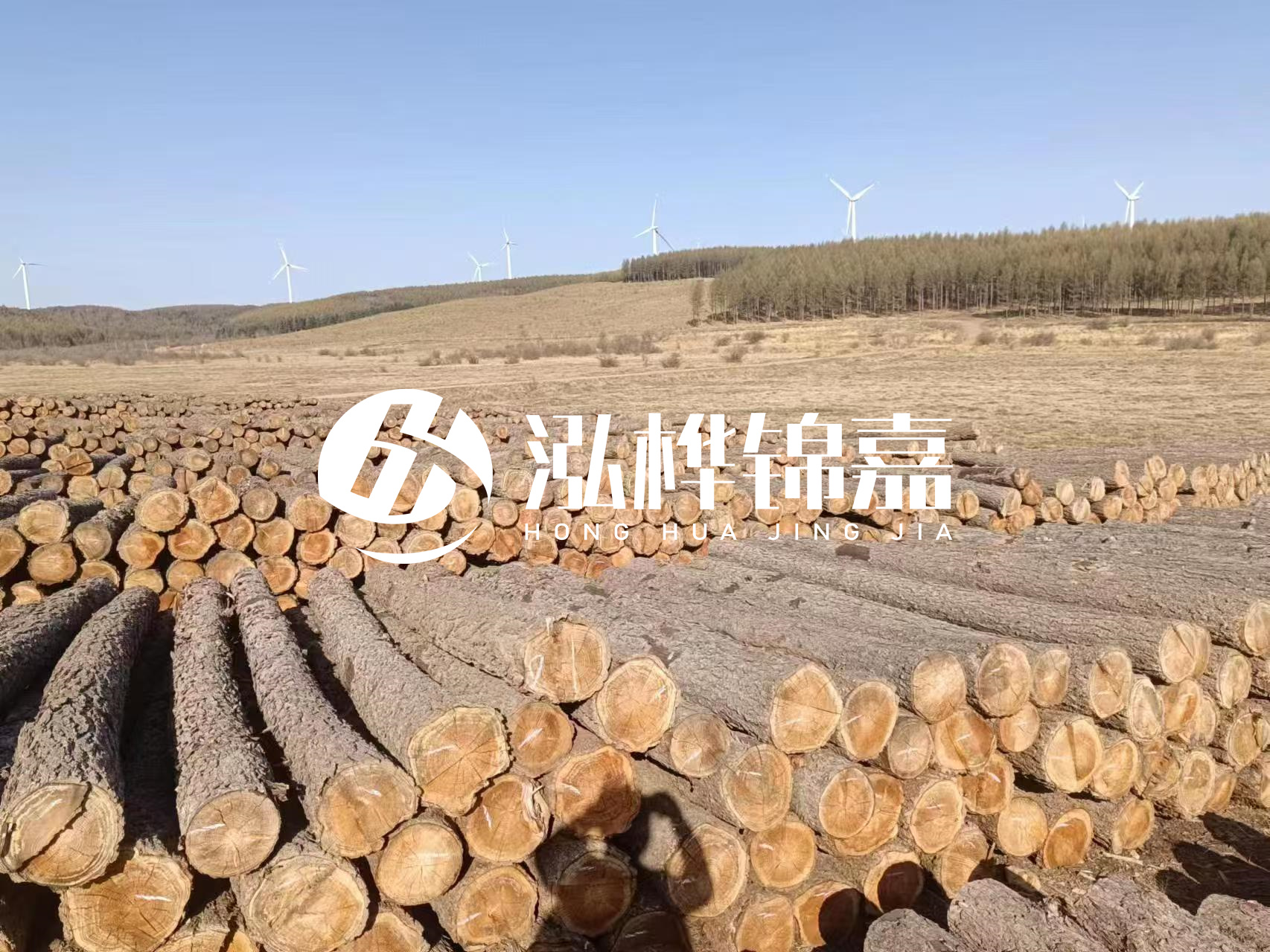 咸寧松木樁源頭廠家-哪里能買到質(zhì)量好的松木樁打樁木？