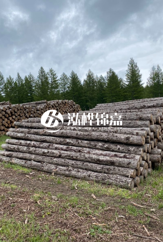長沙松木樁源頭廠家-如何甄別松木樁打樁木的質(zhì)量好壞？