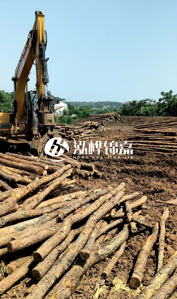 江門松木樁源頭廠家-河道木樁的防腐處理有哪些方法？