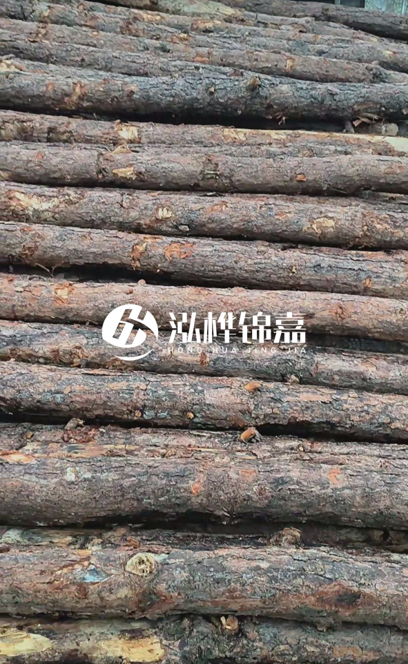 陽江松木樁源頭廠家-哪一種打樁木最便宜？