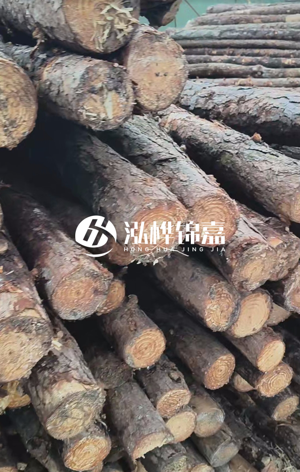 汕尾松木樁源頭廠家-松木樁在水中的耐久性如何？