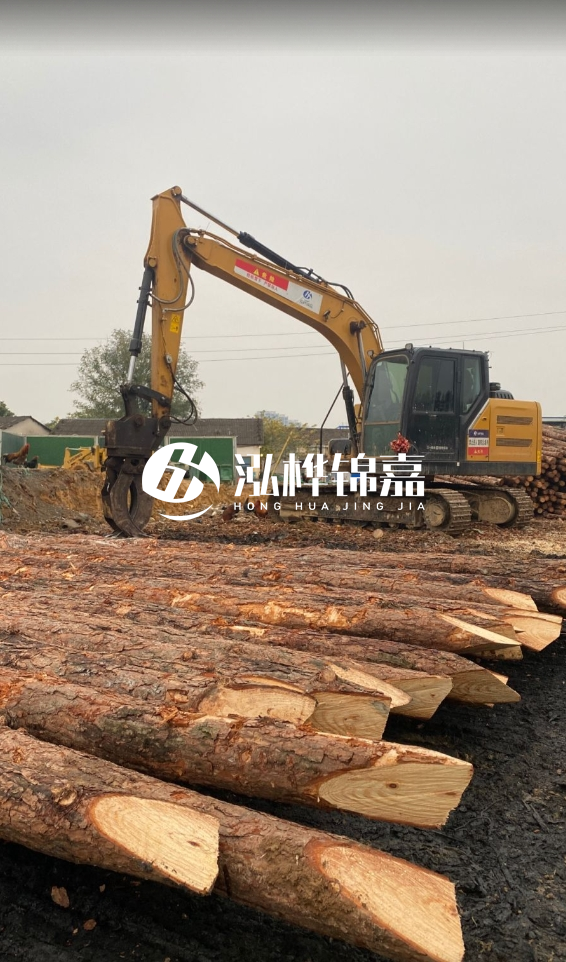 北海松木樁源頭廠家-松木樁價(jià)格4米多少一根？