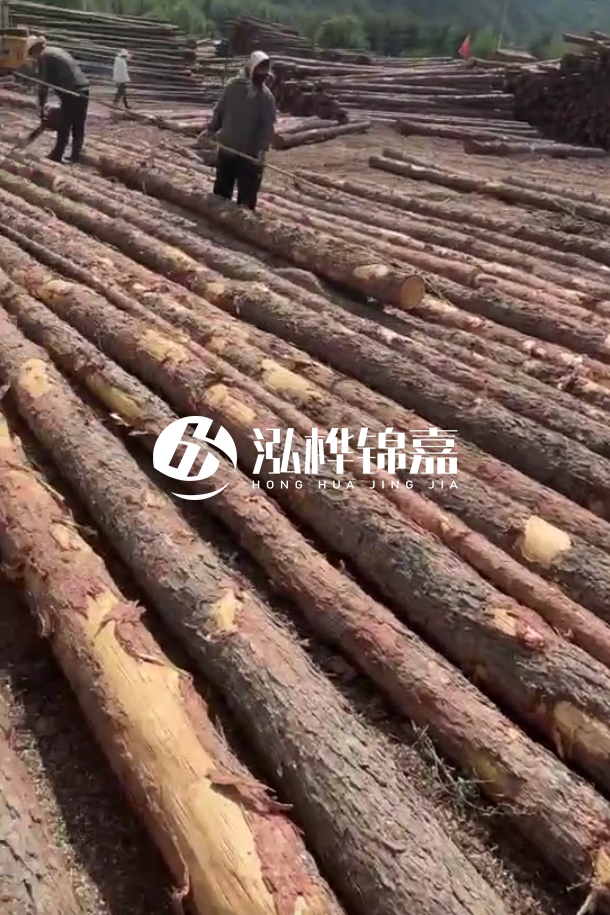 ?？谒赡緲对搭^廠家-松木樁最長可以做多少米？