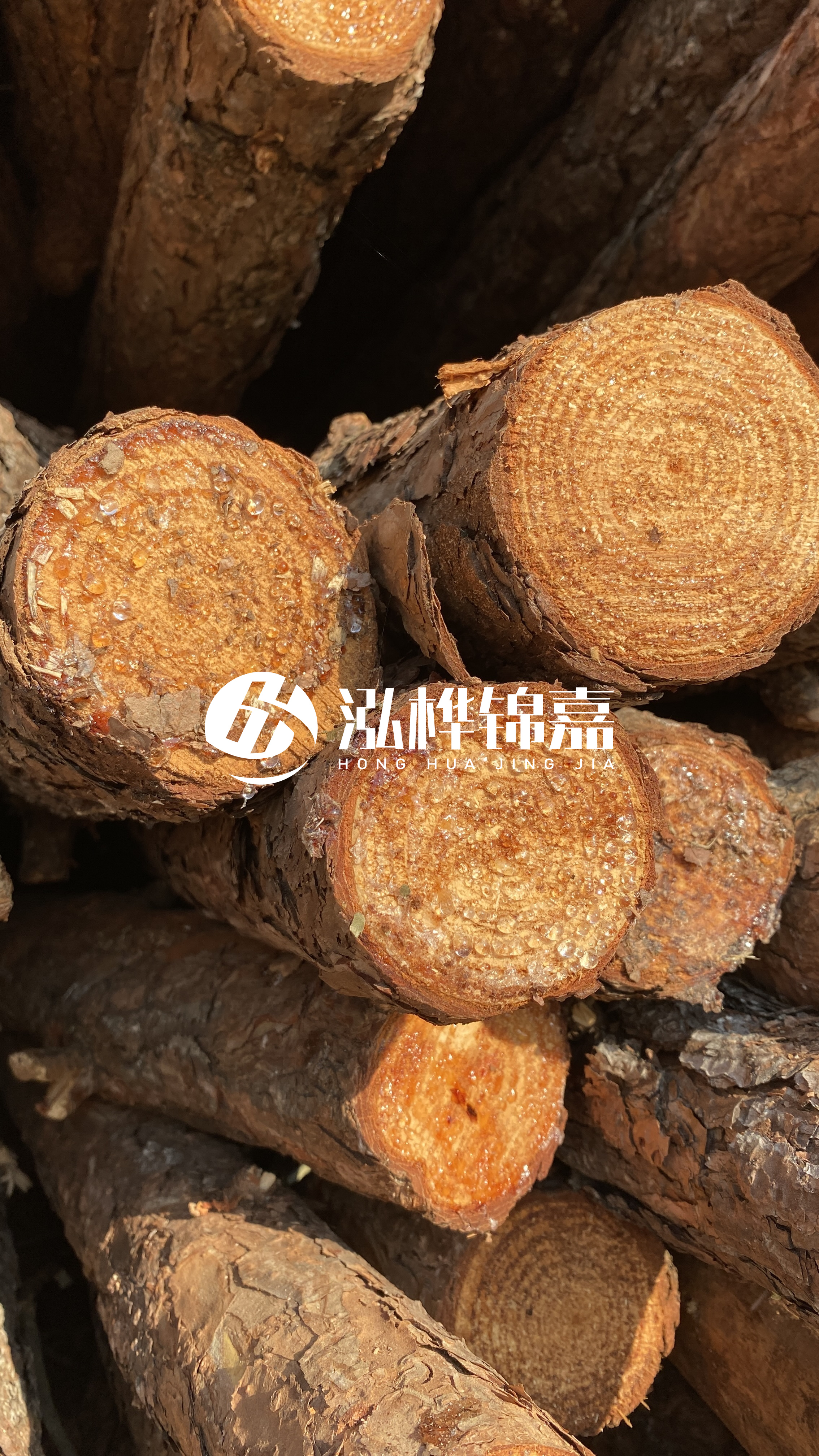 南充松木樁源頭廠家-木樁護坡優(yōu)缺點有哪些？