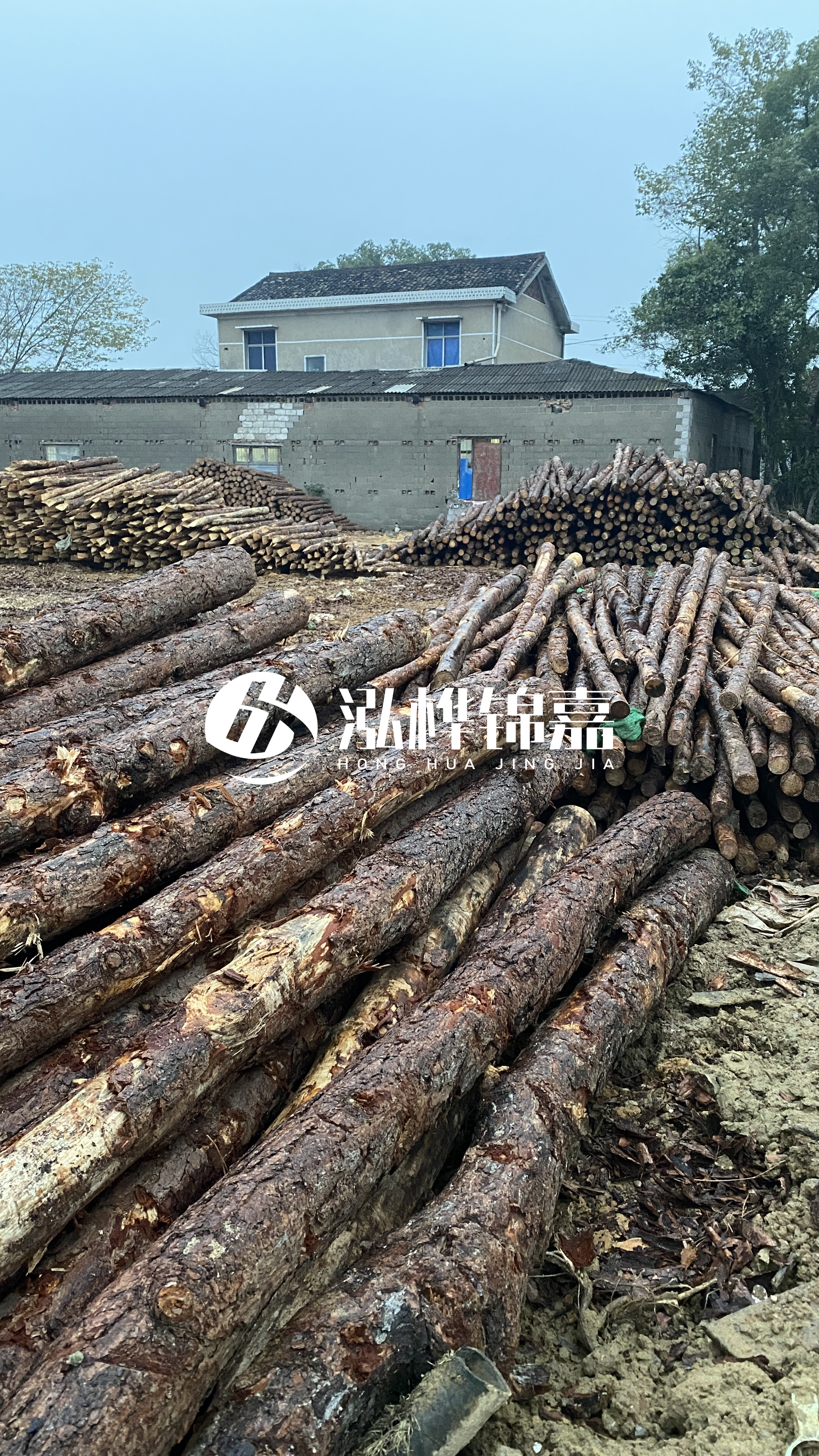 資陽松木樁源頭廠家-工地松木樁的采購渠道有哪些？