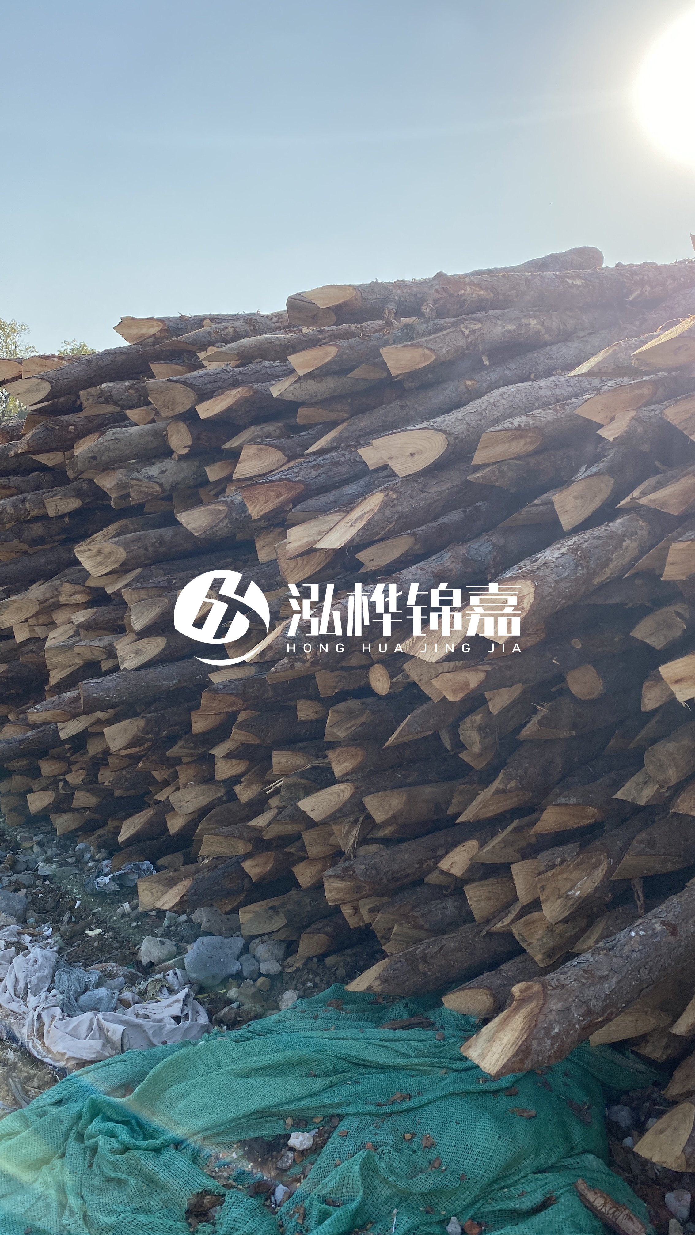 巴中松木樁源頭廠家-原木打樁木是否適合所有地質條件？