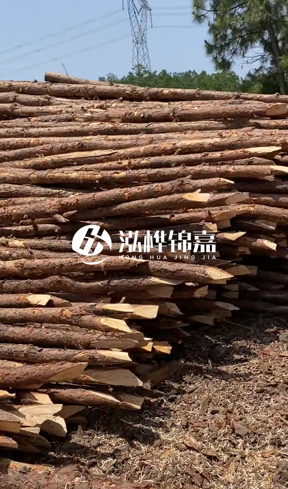 銅仁市挖機(jī)打木樁專業(yè)施工-河道松木樁水面需要預(yù)留多少？