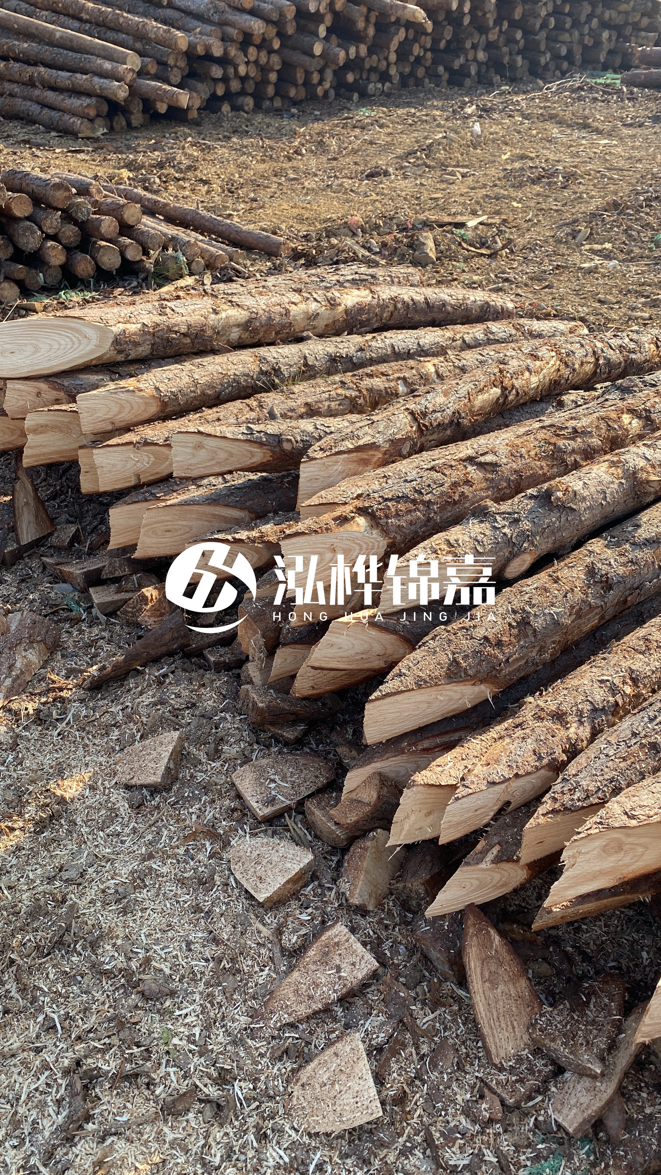 普洱松木樁源頭廠家-油松打樁木的抗壓強度是多少？