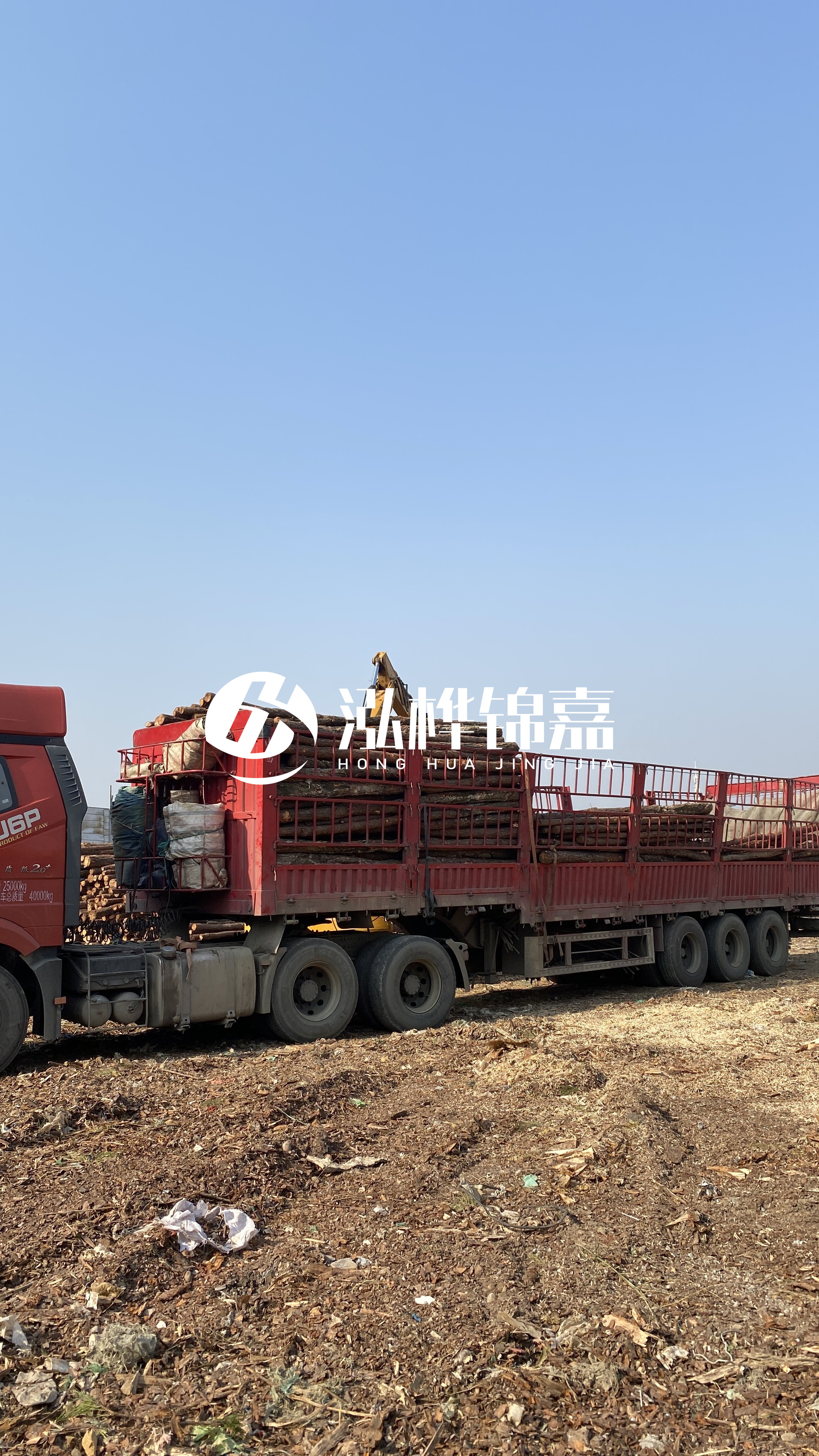 蘭州松木樁批發(fā)源頭廠家-落葉松與濕地松的主要區(qū)別？