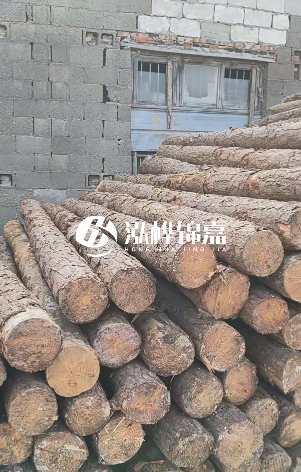 2025最新松木樁價格揭秘：松木樁一方到底多少錢？