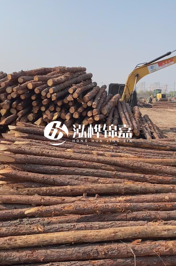 油松用于打樁木到底好不好？讓專業(yè)打樁隊告訴你！