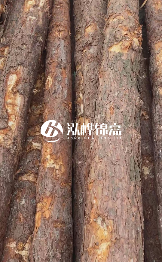 浙江地區(qū)大量供應松木樁，源頭廠家在哪里？