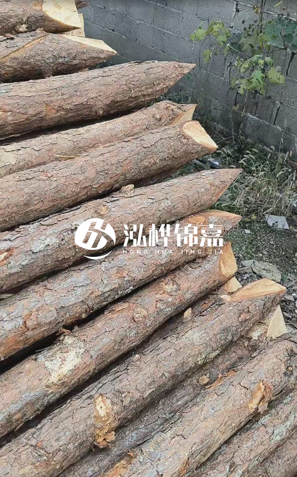 松木樁哪里能大量供應(yīng)？4米20公分松木樁價(jià)格是多少？