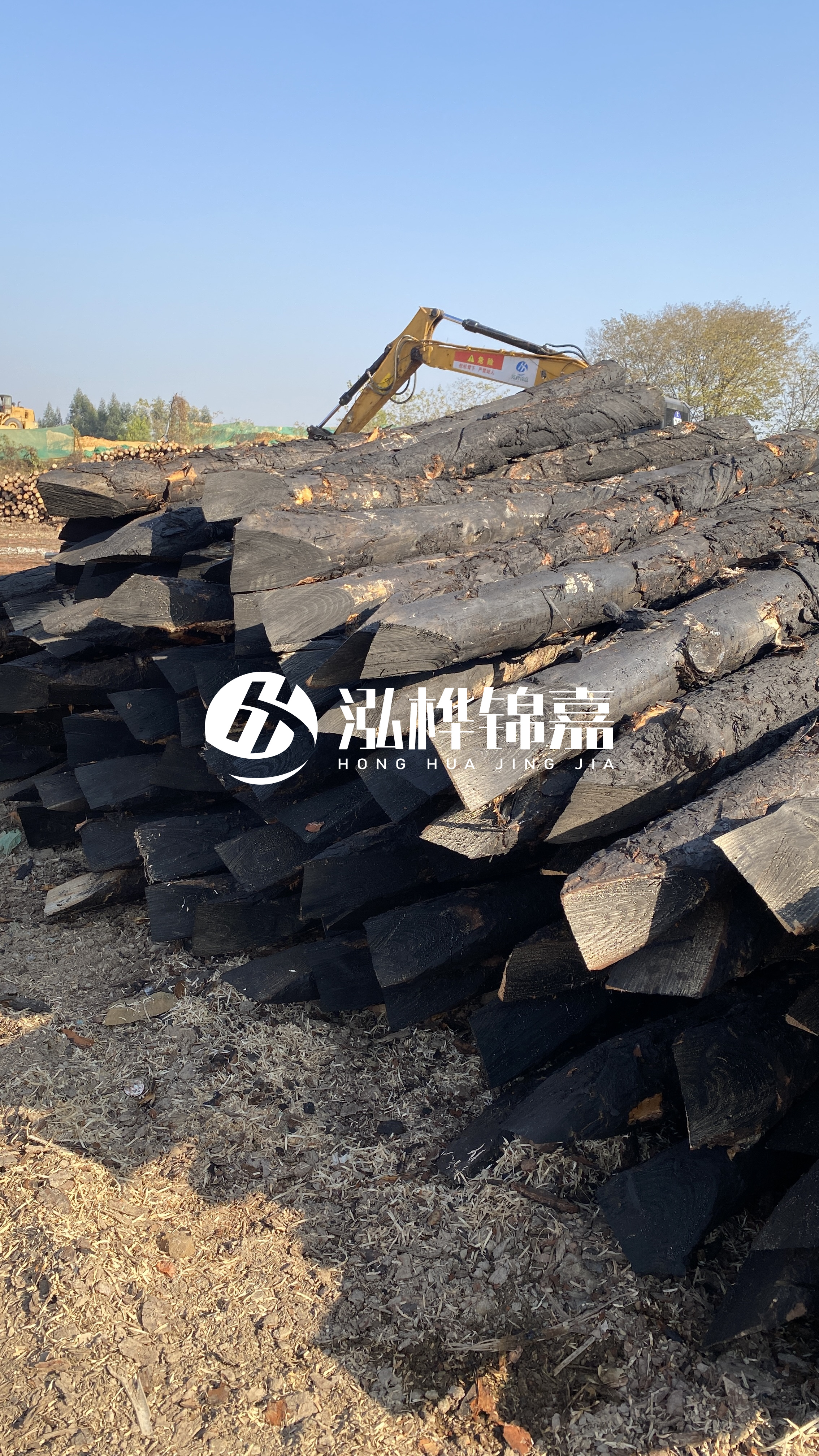 如何辨別優(yōu)質(zhì)的松木樁廠家？助你避開雷區(qū)！