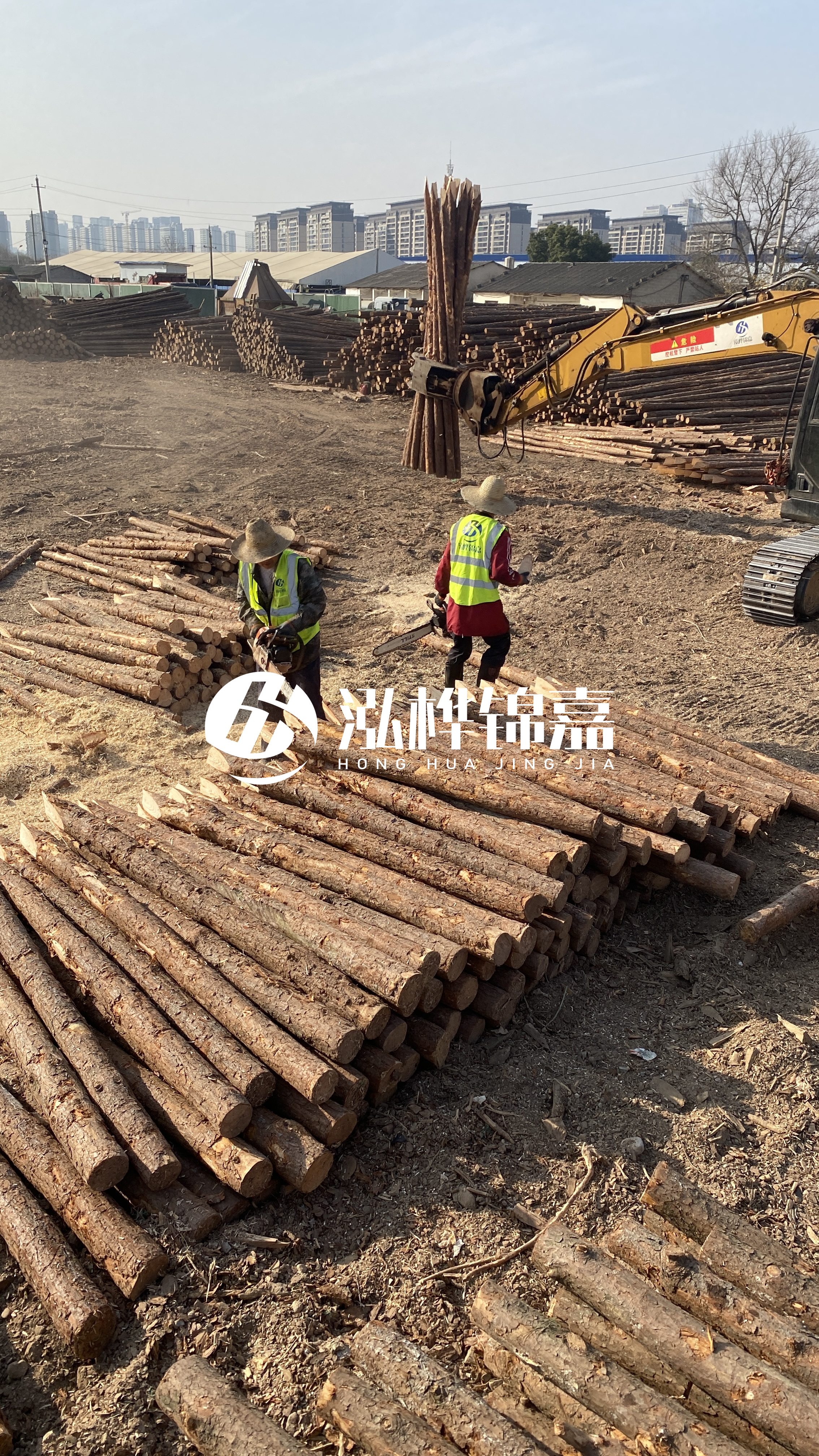 松木樁梢徑怎么測(cè)量？實(shí)用教程！一文教會(huì)你！