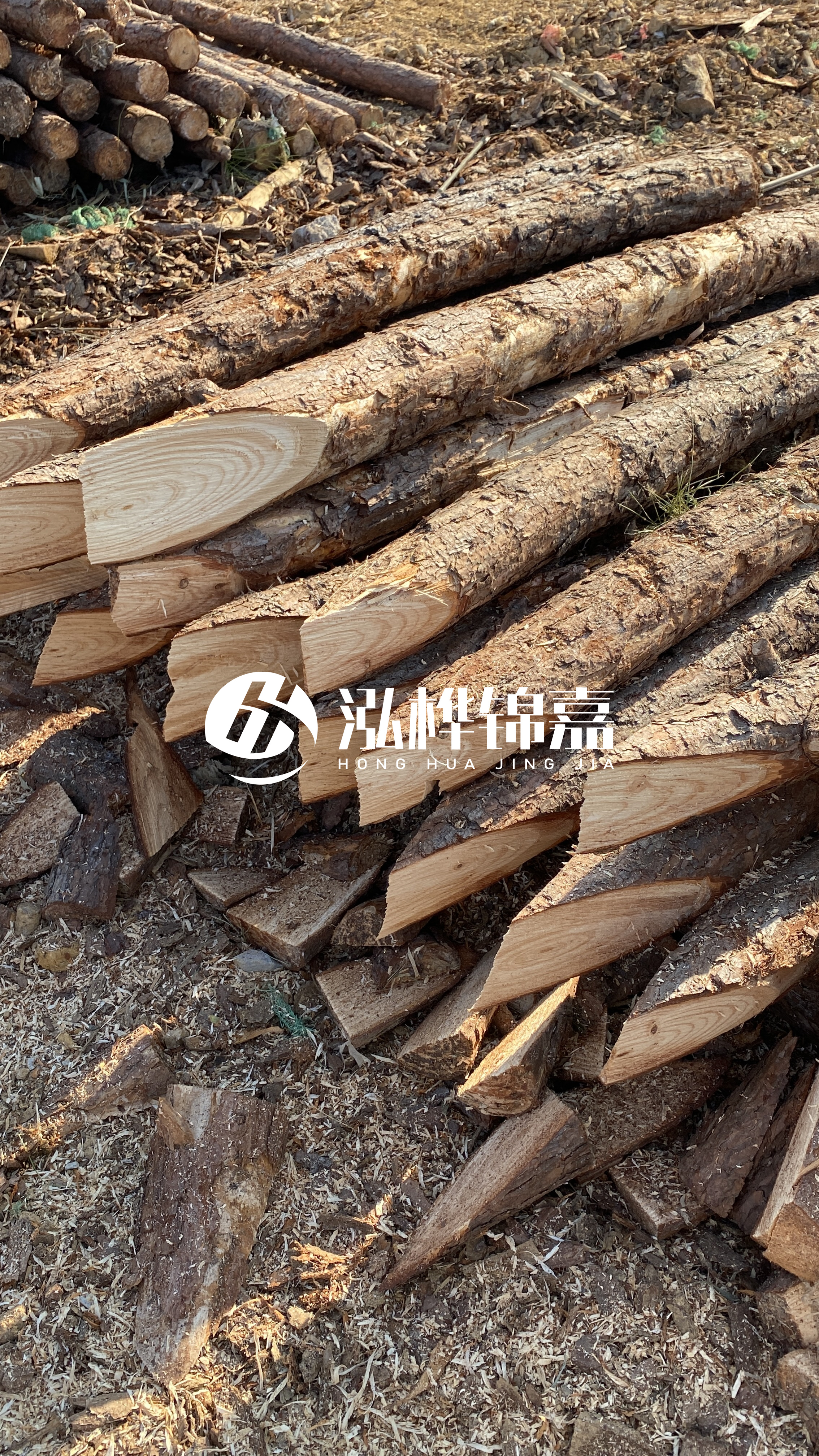 4米小頭直徑10-12公分松木樁價(jià)格揭秘：究竟多少錢一根？快來了解！