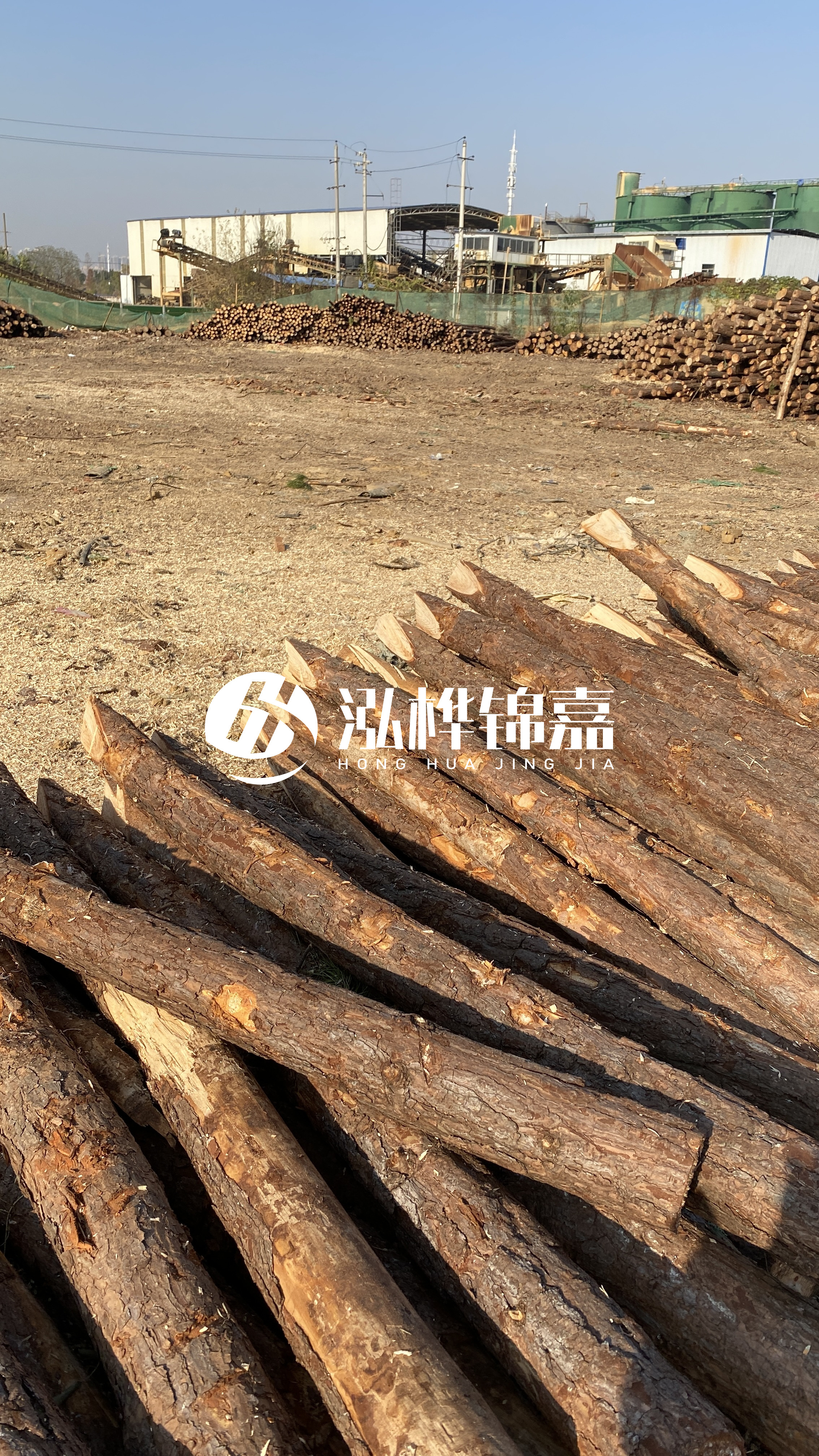 松木樁施工要找有資質(zhì)的嗎？松木樁施工背后門道多，看完就懂了！