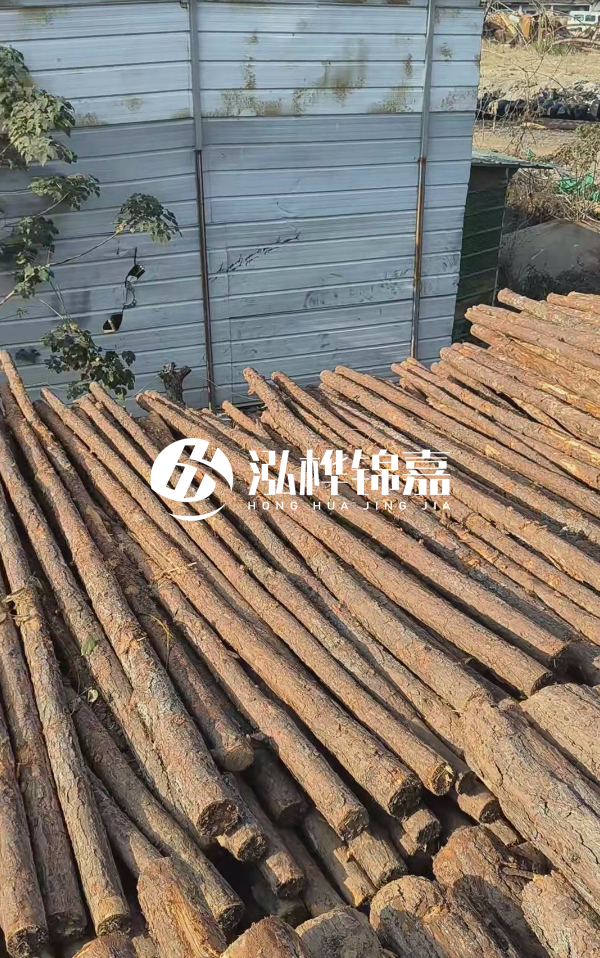 4米松木樁一根有多重？看完你就心中有數(shù)啦！