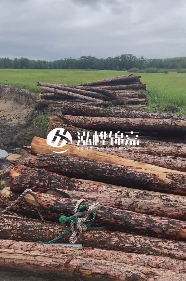 打樁木樁的選購標準是什么？材質、尺寸與強度，哪些標準不能忽視？