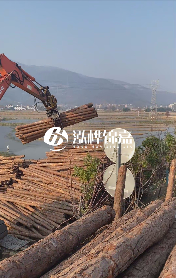 松木樁是否需要削皮呢？松木樁為什么不會爛掉呢？