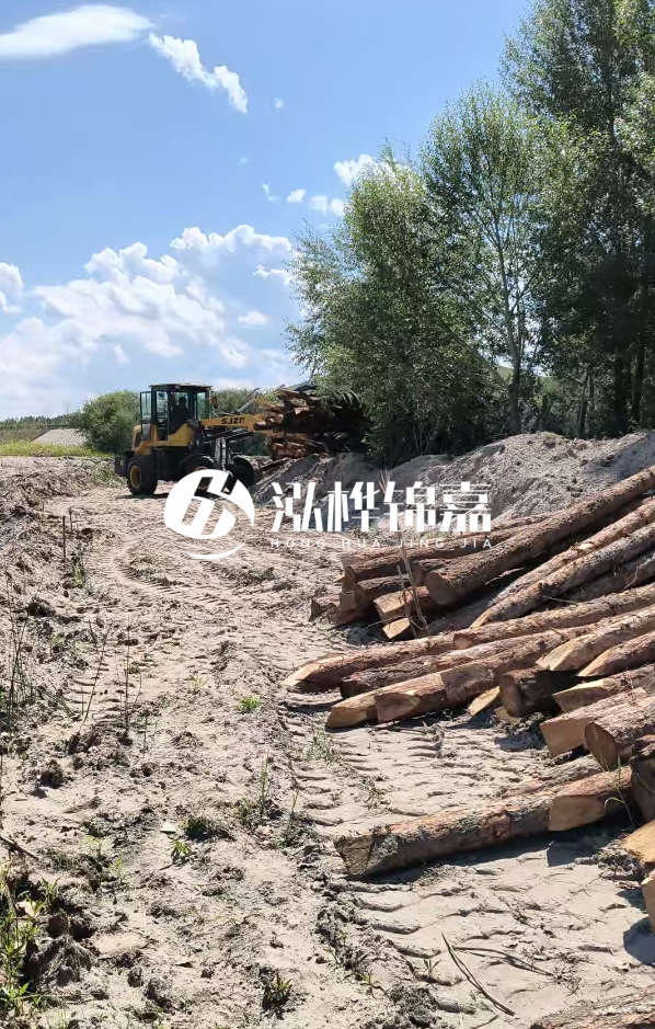 松木樁處理技術要求是什么-松木樁處理地基間距多少合適呢？