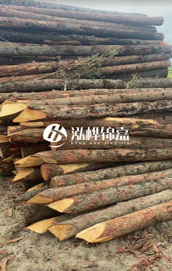 松木樁4米長尾徑14厘米價格是多少？一立方米有多少根？