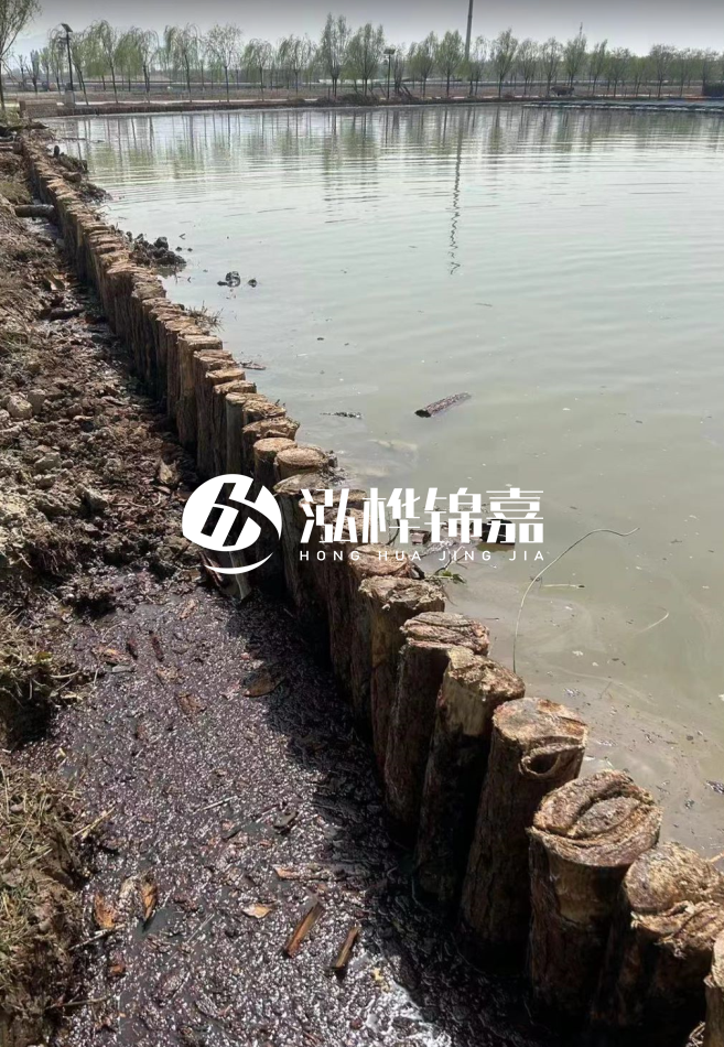 長沙松木樁批發(fā)市場在哪？廠家地址是多少？