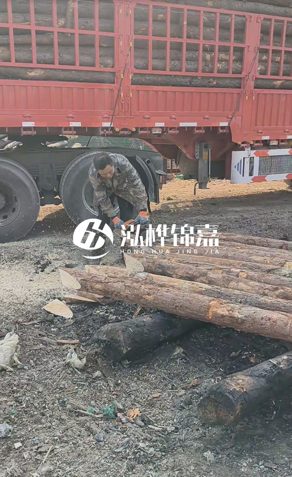 2米松木樁多少錢一根？15-20CM直徑價格是多少？