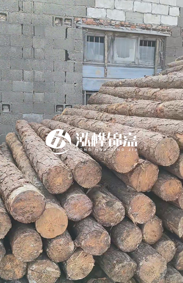 3米松木樁多少錢一根？14公分松木樁價格是多少？