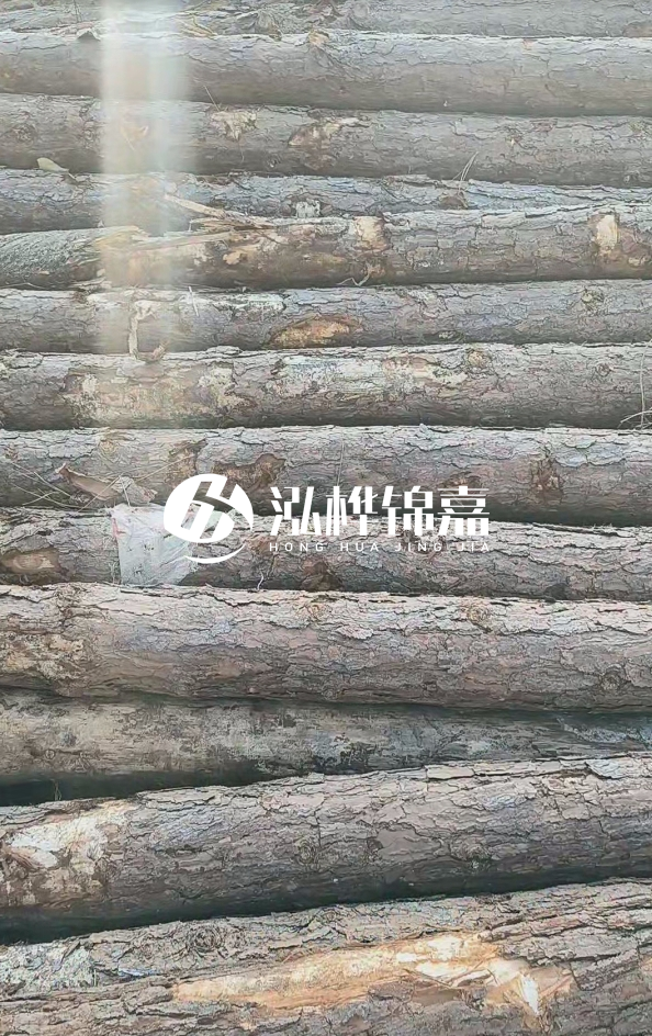 松木樁5米100mm一根多少錢-5米140mm多少錢？