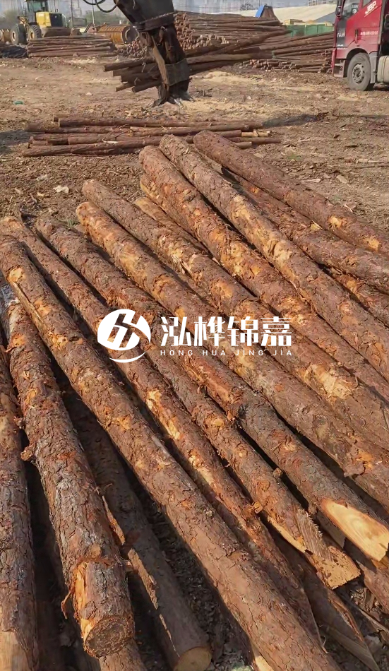7米松木樁8一12公分價格？直徑15公分松木樁多少錢？