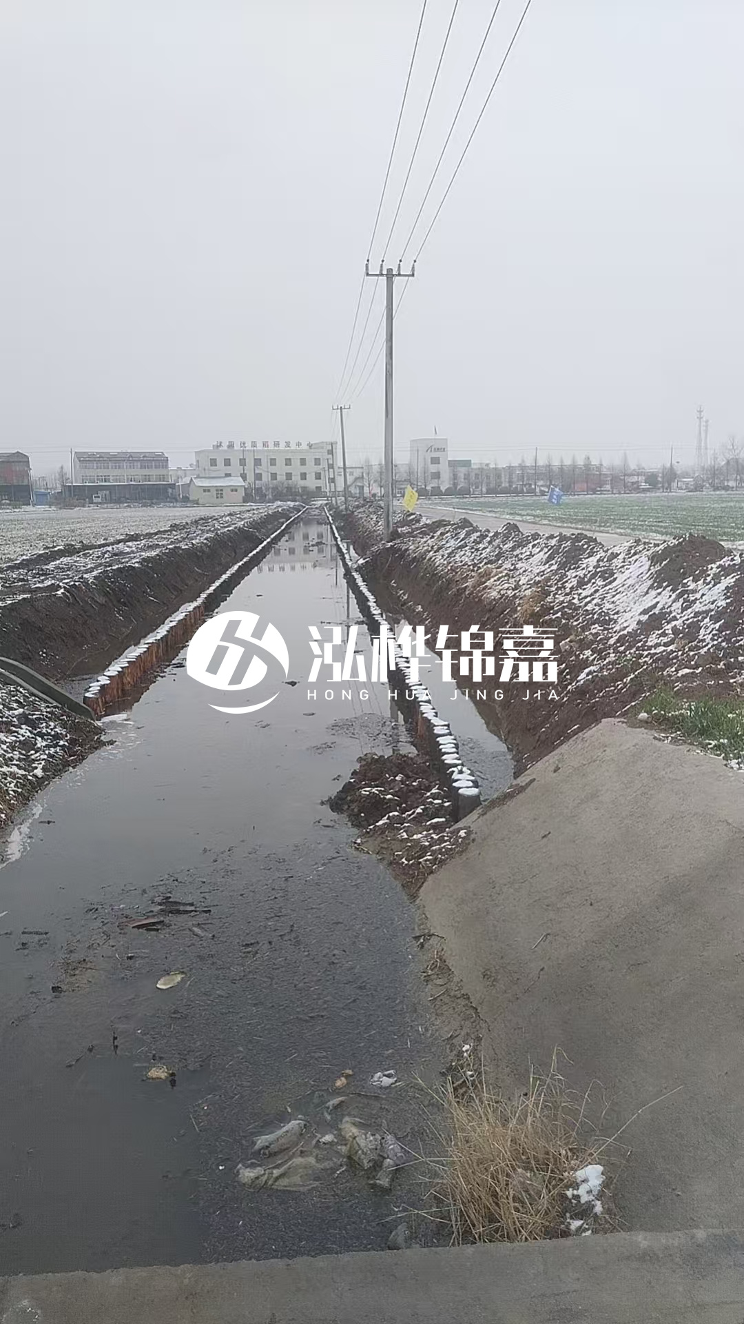 4米松木樁和杉木樁價格相差多少？哪個更便宜？