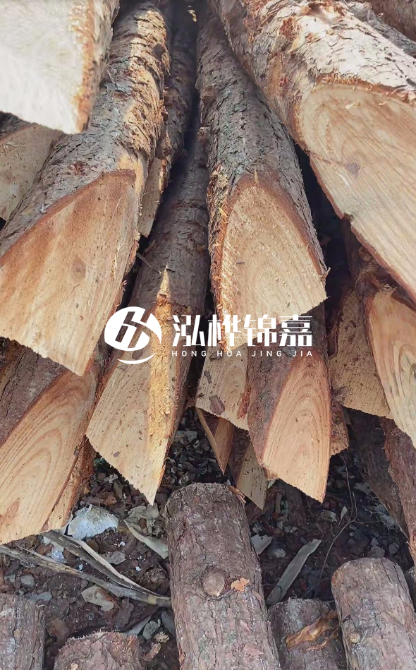 3米杉木樁梢頭12大頭多少？賣多少錢一根？