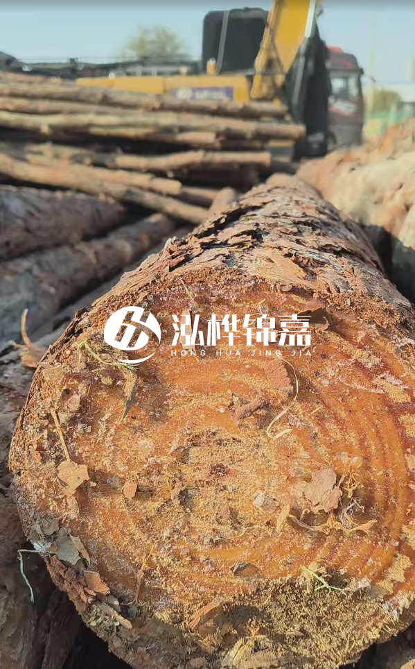 杉木樁價格多少錢一方-3米直徑14公分杉木樁價格？