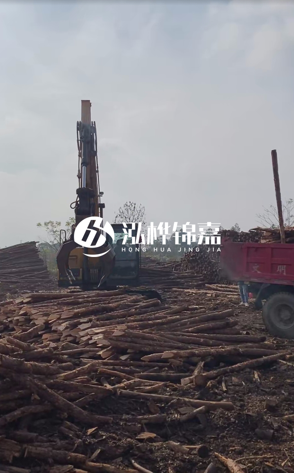 6米打樁木多少錢一根-6米10-15公分價格是多少？