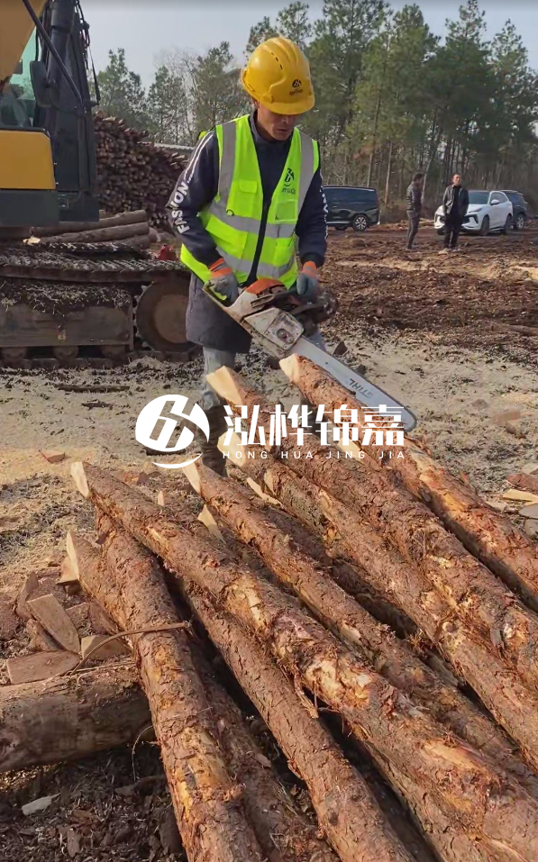 松木樁樁長1.5米稍徑12多少錢一根？樁長1.5米稍徑12大頭多少？