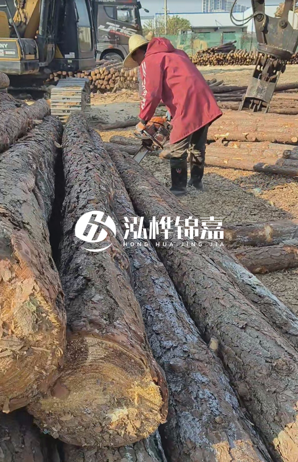 長沙打樁木批發(fā)廠家在哪里？聯(lián)系方式是什么？