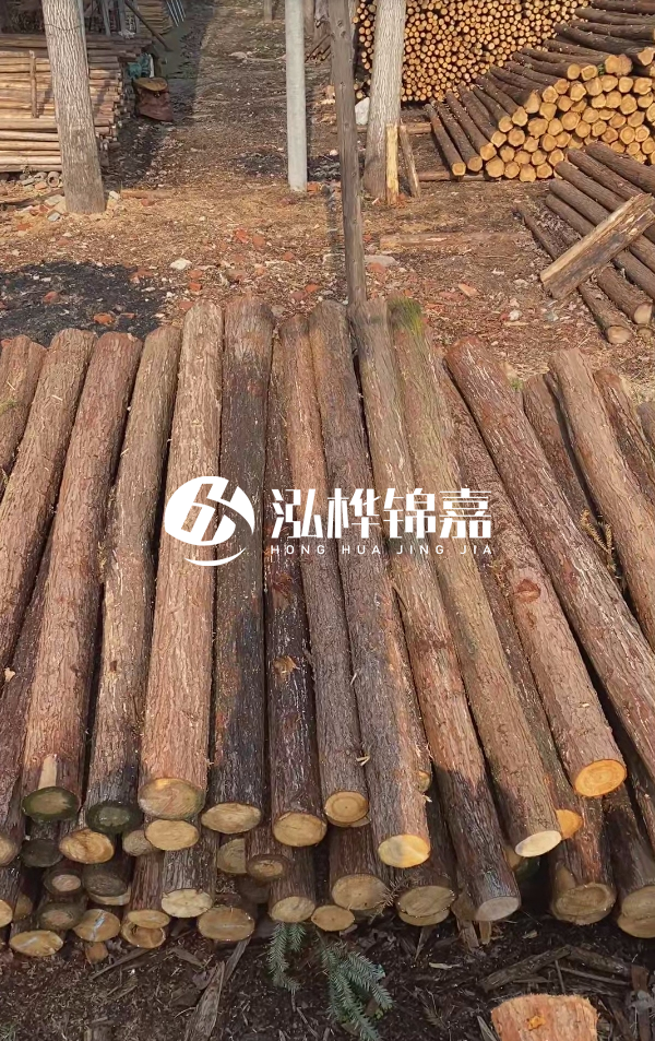 河道護(hù)坡選松木樁還是杉木樁？河道木樁一根多少錢？