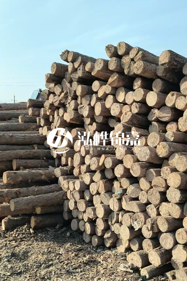 江西哪里有松木樁賣-4米12-14公分松木樁價格揭秘！